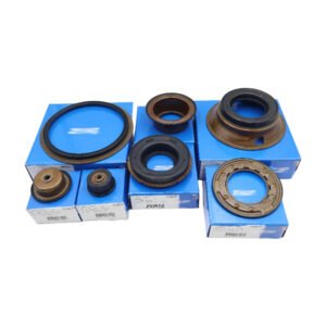 AL4 Transmission Piston Kit DPO Automatic Gearbox